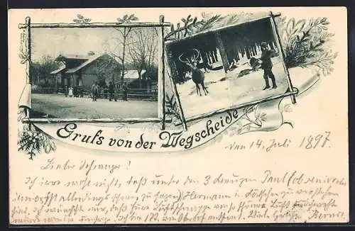 AK Oberhof / Thüringen, Wegscheide, Tierfütterung