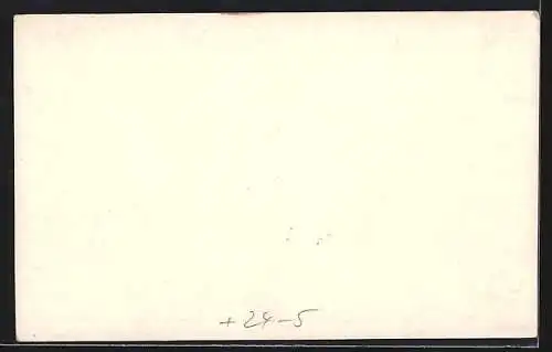 AK Köln, Hochwasser 1919, Friedrich Wilhelmstrasse