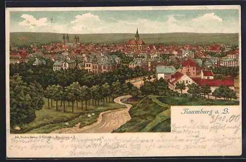 Lithographie Naumburg a. S., Totalansicht über die Dächer der Stadt