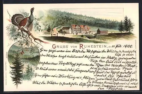 Lithographie Ruhestein, Ortspartie mit Strasse, Teich, Auerhahn