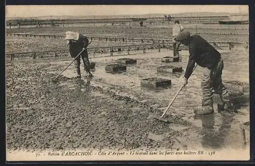 AK Arcachon /Côte d`Argent, Le travail dans les parcs aux huîters, Muschelsammler bei der Arbeit