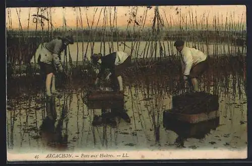 AK Arcachon, Parc au Huitres, Muschelsammler bei der Arbeit