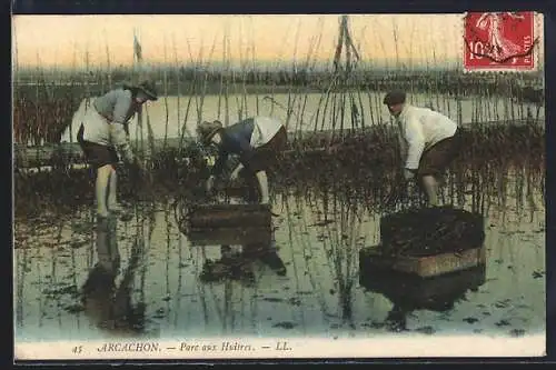AK Arcachon, Parc au Huitres, Muschelsammler bei der Arbeit