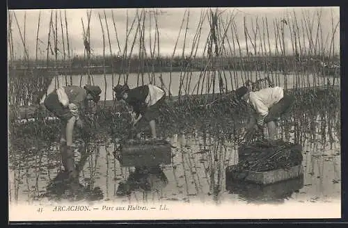 AK Arcachon, Parc aux Huitres, Krebsfischer