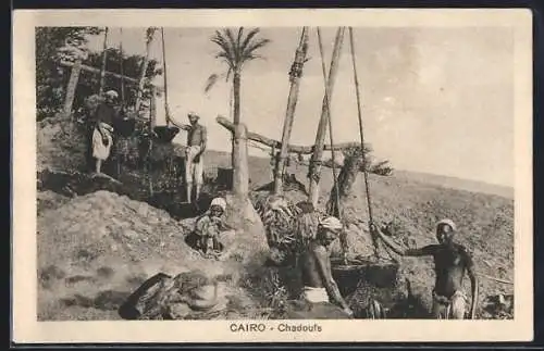 AK Cairo, Chadoufs