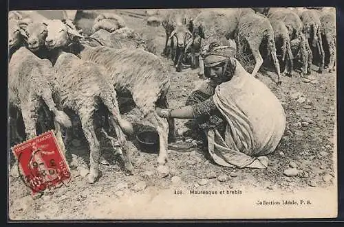 AK Mauresque et brebis