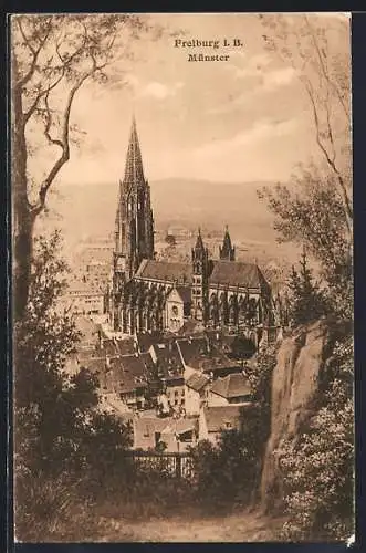 AK Freiburg i. B., Münster von einer Lichtung aus