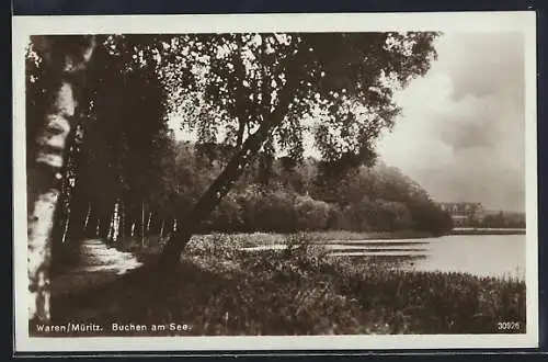 AK Waren /Müritz, Buchen am See mit Wanderpfad