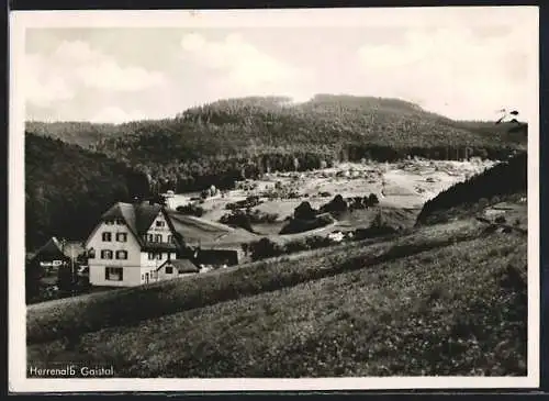 AK Herrenalb, Blick ins Gaistal mit Panorama