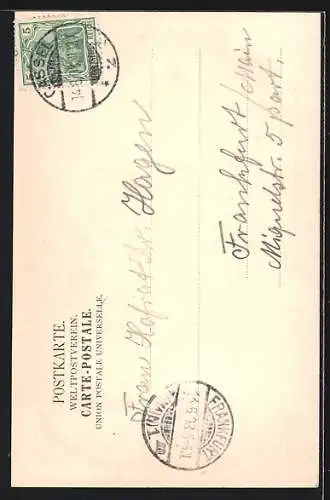 AK Kassel-Wilhelmshöhe, Blick auf Löwenburg