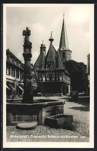 AK Michelstadt i. Odenwald, Rathaus mit Brunnen
