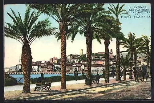 AK Cannes, Les Palmiers de la Croisette et le Mont-Chevalier