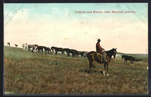 AK Macleod, Cowboys and Horses