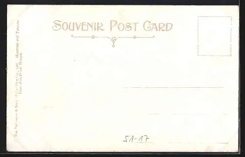 AK Macleod, Cowboys and Horses