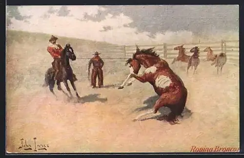 AK Cowboys fangen wilde Pferde mit dem Lasso ein