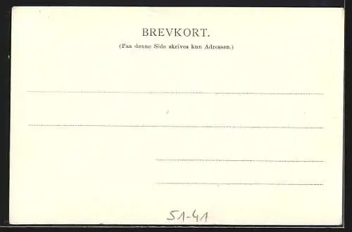 AK Hardanger, Norwegerin in Tracht mit Holzeimern