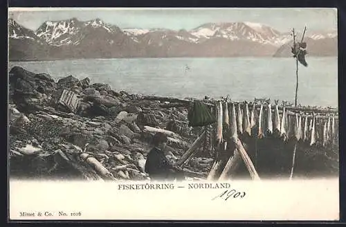 AK Nordland, Fisketörring, Norweger mit getrockneten Fischen
