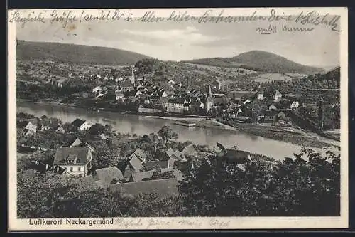 AK Neckargemünd, Totalansicht mit Fluss und Kirchen