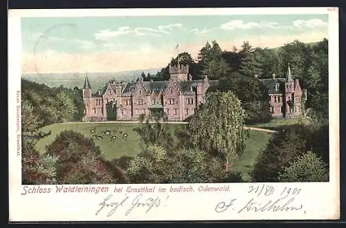 AK Mudau, Blick auf Schloss Waldleiningen