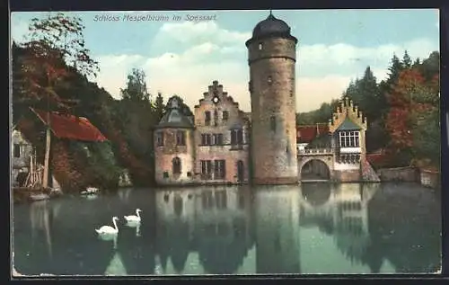 AK Mespelbrunn, Schloss Mespelbrunn mit Schwanensee