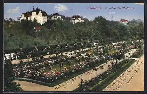 AK Chemnitz, Rosarium im Stadtpark