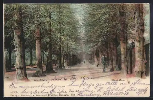 AK Hamburg-Wandsbek, Bärenallee