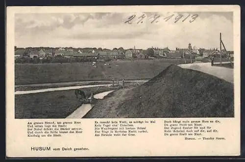 AK Husum / Nordsee, Ortsansicht vom Deich aus