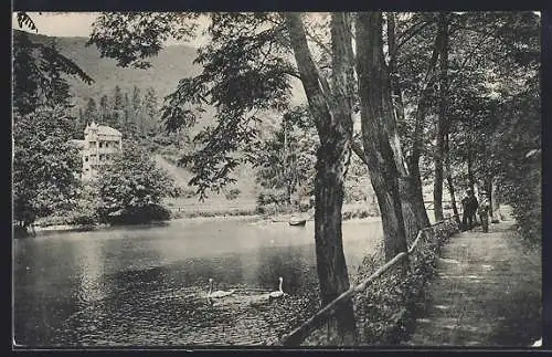 AK Bad Bertrich, Der Weiher mit Schwänen
