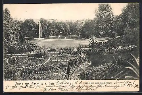 AK Essen a. d. Ruhr, Partie aus dem Stadtgarten