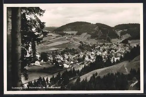 AK Steinwiesen im Frankenwald, Ortsansicht mit Blick ins Tal