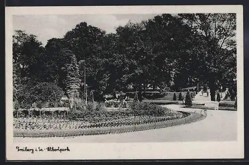 AK Freiberg i. Sa., Partie im Albertpark