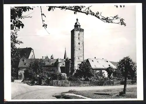 AK Steinau a. d. Strasse, Das Schloss