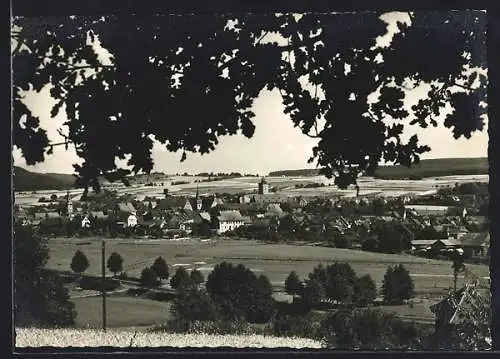 AK Steinau a. d. Strasse, Ortspartie mit Umgebung