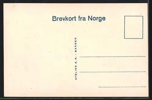 AK Balestrand /Sogn, Udsigt mod Vangsnaes