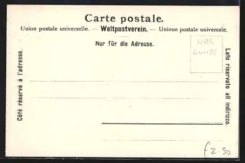 AK Lungern, Ort & Anlagen der Brünigbahn, um 1900