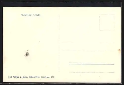 AK Odda, Gesamtansicht mit Bergpanorama