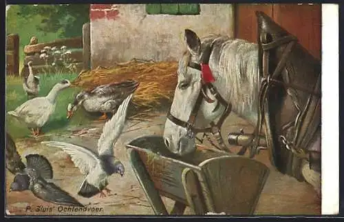 AK Weisses Pferd am Futtertrog auf dem Bauernhof