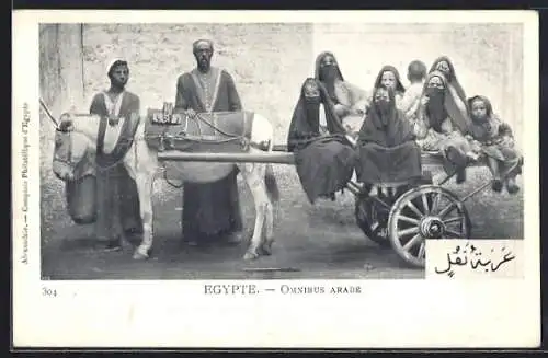 AK arabischer Omnibus, Ägypterinnen auf Eselgespann