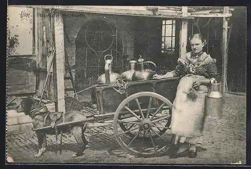 AK Hundegespann zum Milchtransport, Laitière flamande