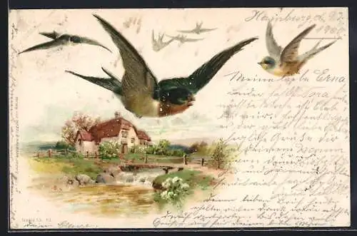 AK Ein paar Meisen fliegen über ein Landhaus dahin