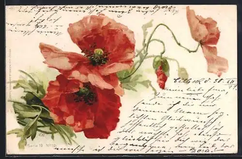 Künstler-AK Catharina Klein: Klatschmohn in voller Blüte