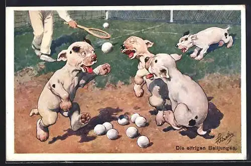 AK Bonzos als eifrige Balljungen beim Tennis