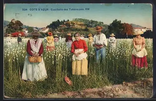 AK Cote-D`Azur, Cueillette des Tubereuses