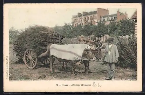 AK Pau, Attelage Béarnais