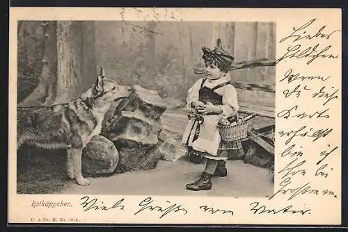 AK Rotkäppchen begegnet dem Wolf im Wald