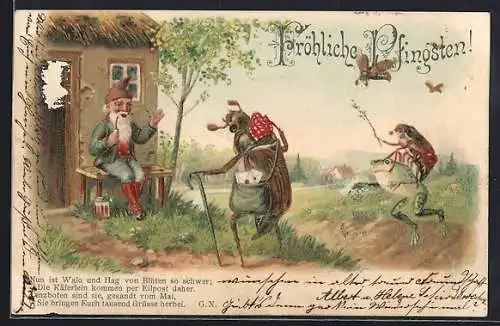 Lithographie Maikäfer mit Briefe & Frosch mit Maikäfer auf dem Rücken besuchen Zwerg