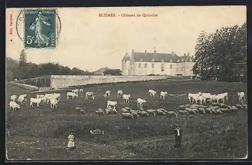 AK Blismes, Château de Quincize avec troupeau de vaches et moutons devant le château