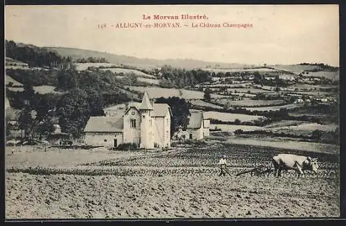 AK Alligny-en-Morvan, Le Château Champagne dans le paysage rural du Morvan