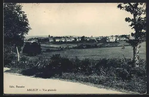 AK Arleuf, Vue générale