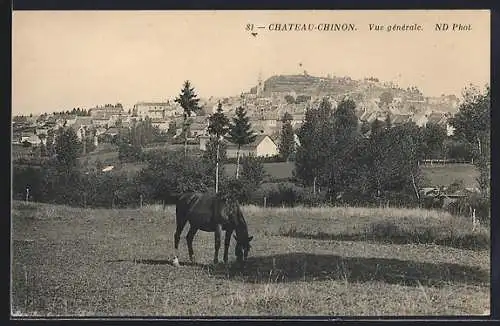 AK Château-Chinon, Vue générale avec cheval au pâturage